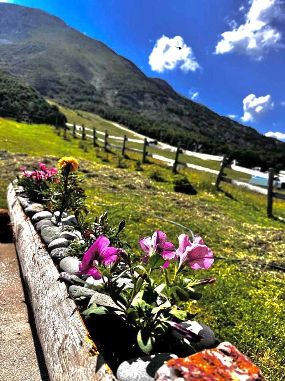 Mountain House Savin Kuk Βίλα Žabljak Εξωτερικό φωτογραφία